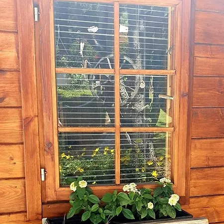 Dollnig Апартаменты