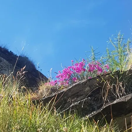 Dollnig Флаттах