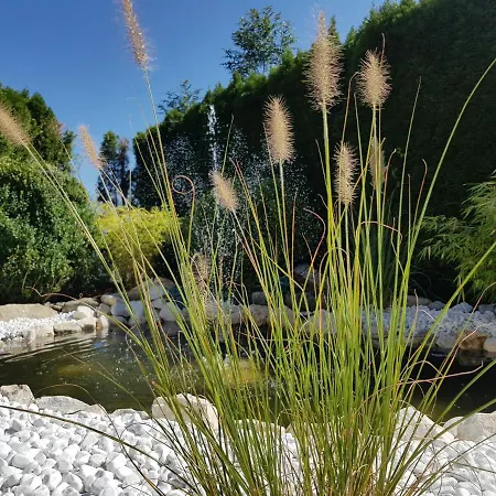 Dollnig 弗拉塔克